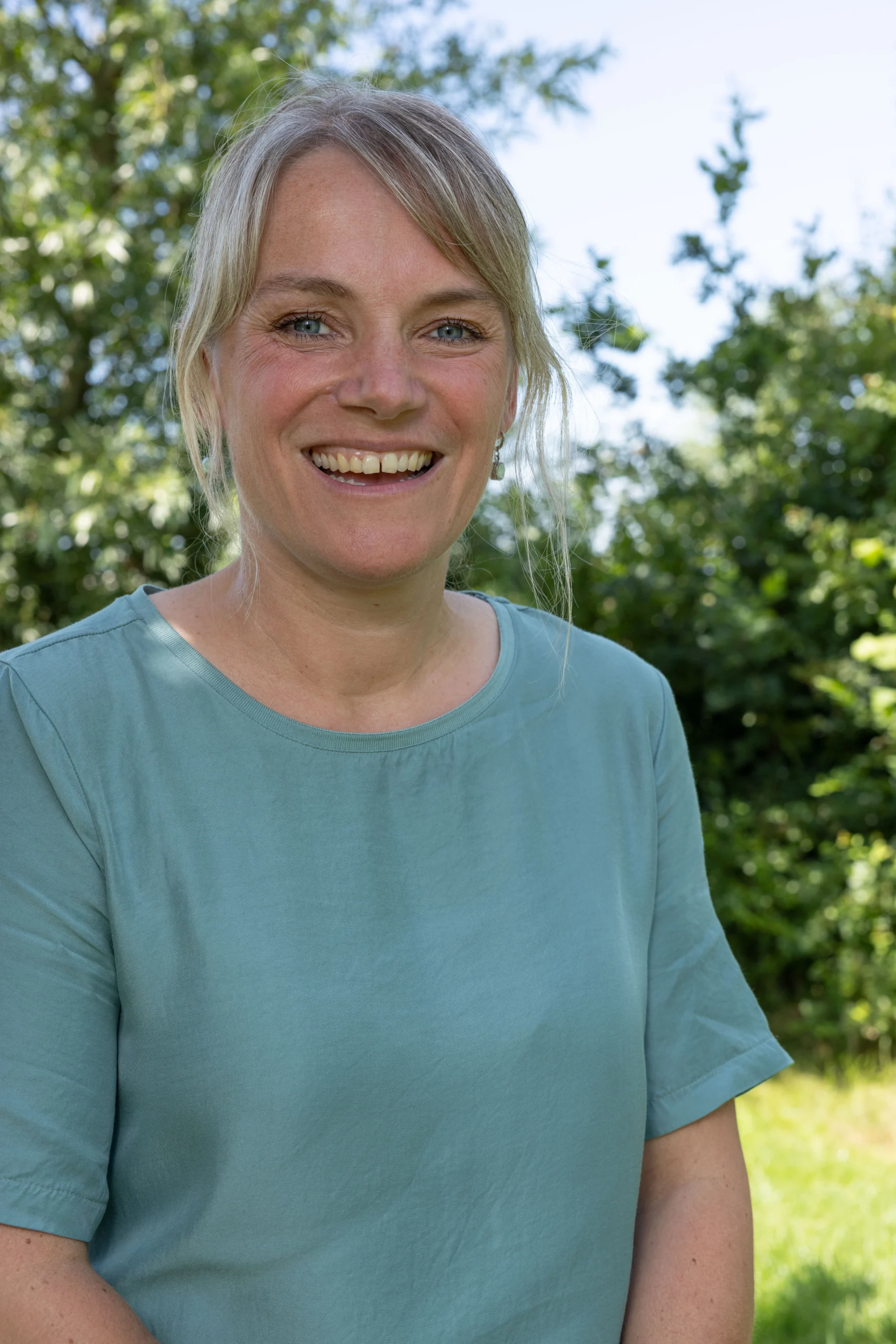 Zonnebloem in 't Veld